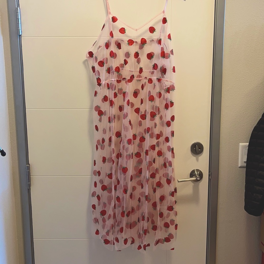 Shein sheer strawberry dress